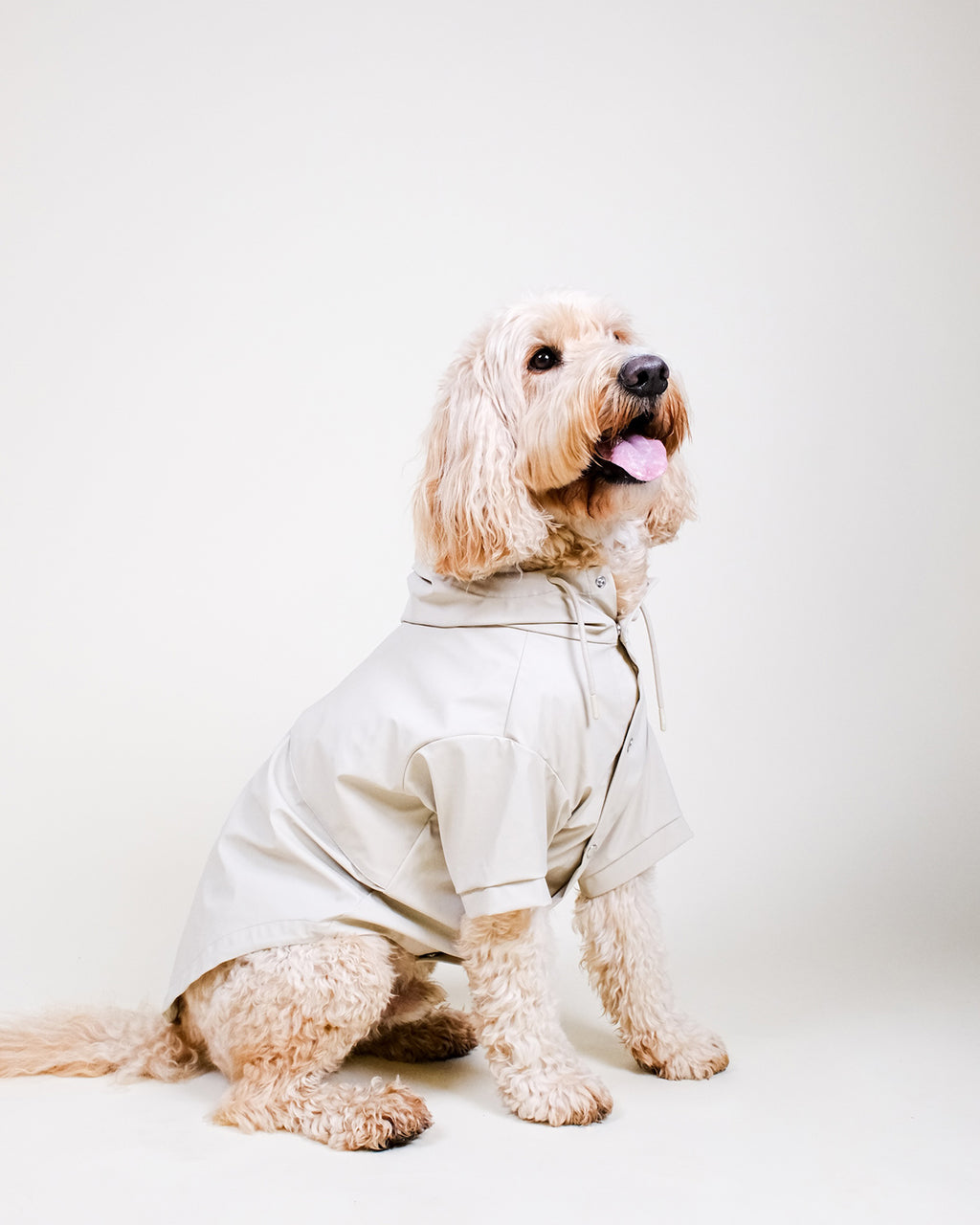 Stone Dog Raincoat
