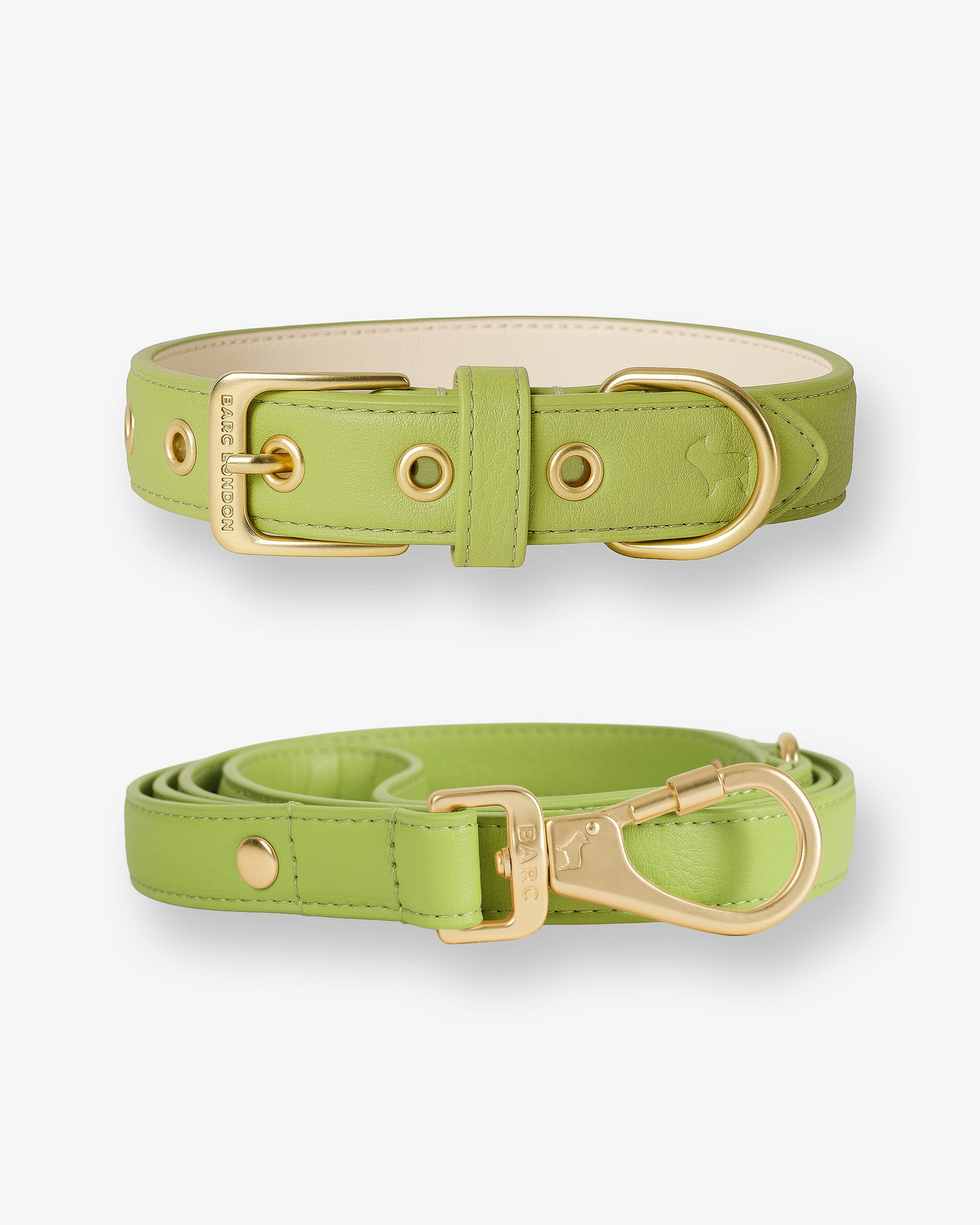 Wasabi Dog Collar & Lead Set