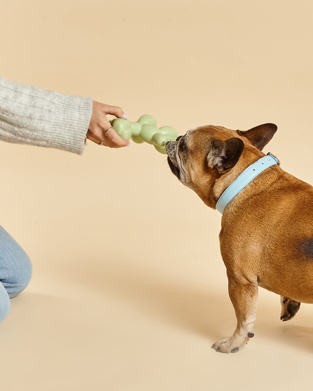 Balloon Squeaky Dog Toy