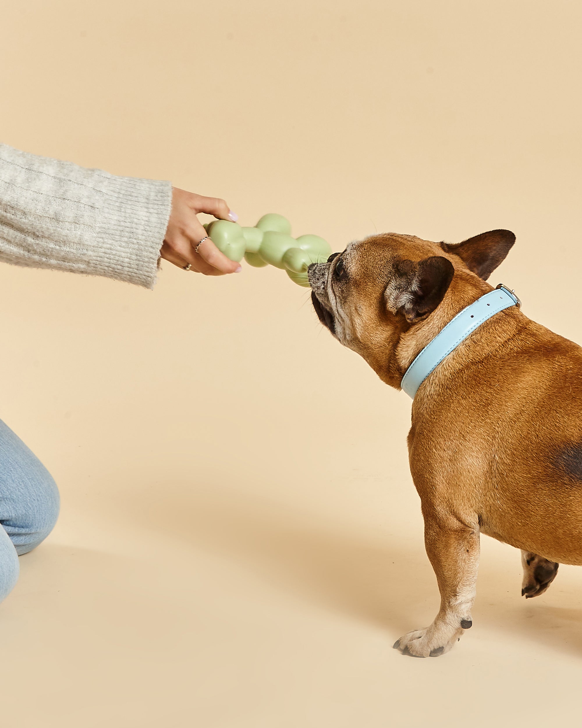 Balloon Squeaky Dog Toy