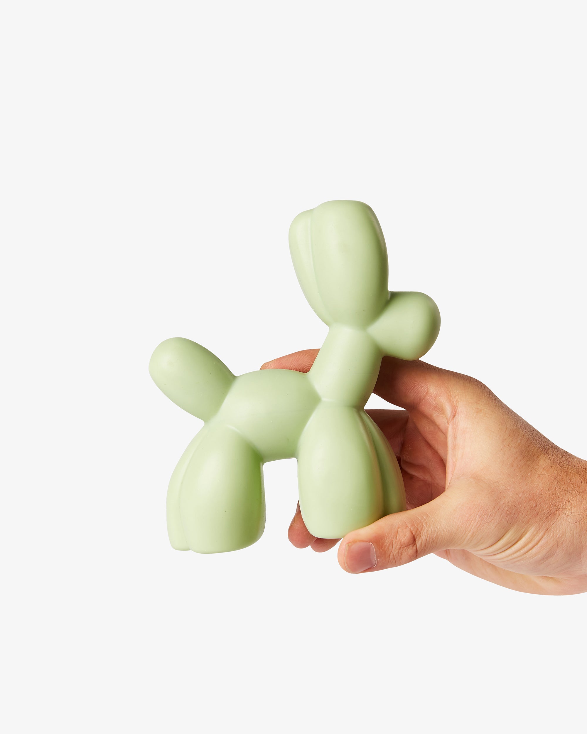 Balloon Squeaky Dog Toy