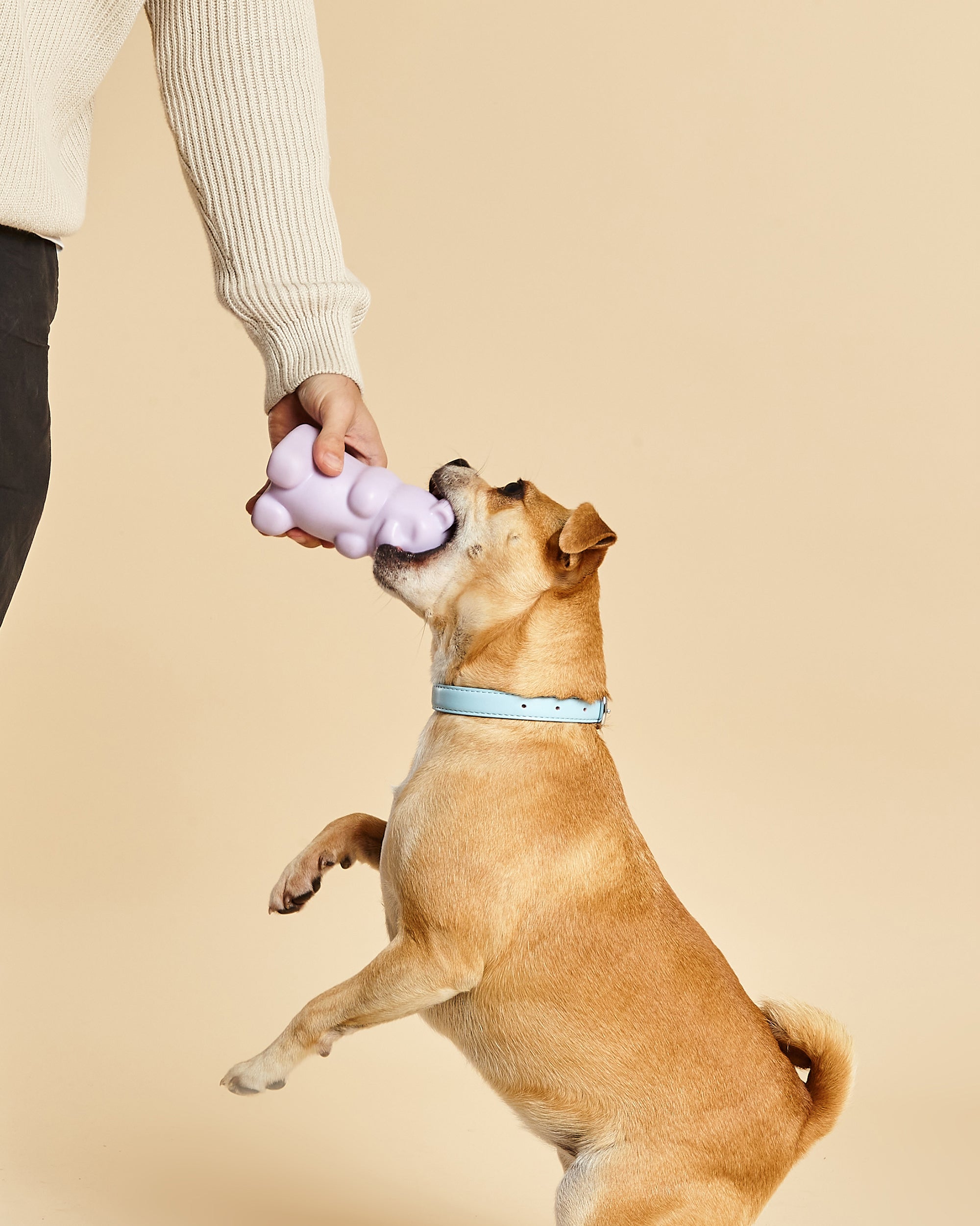 Gummy Squeaky Dog Toy