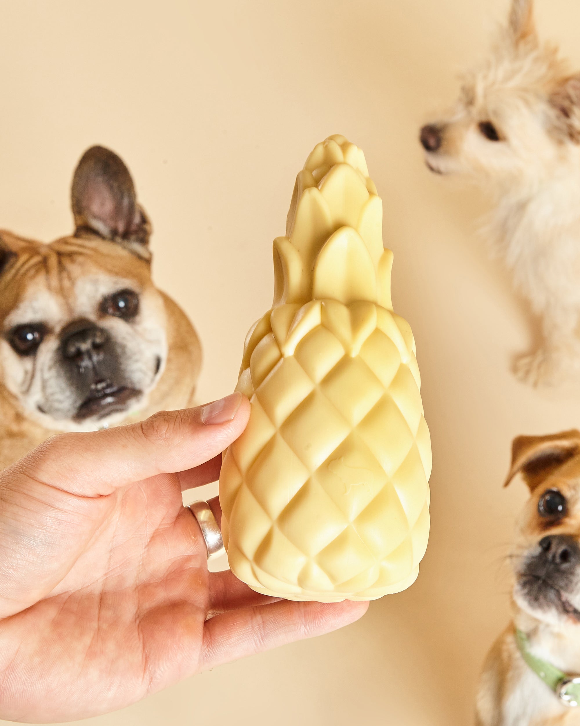 Pineapple Shaped Squeaky Dog Toy
