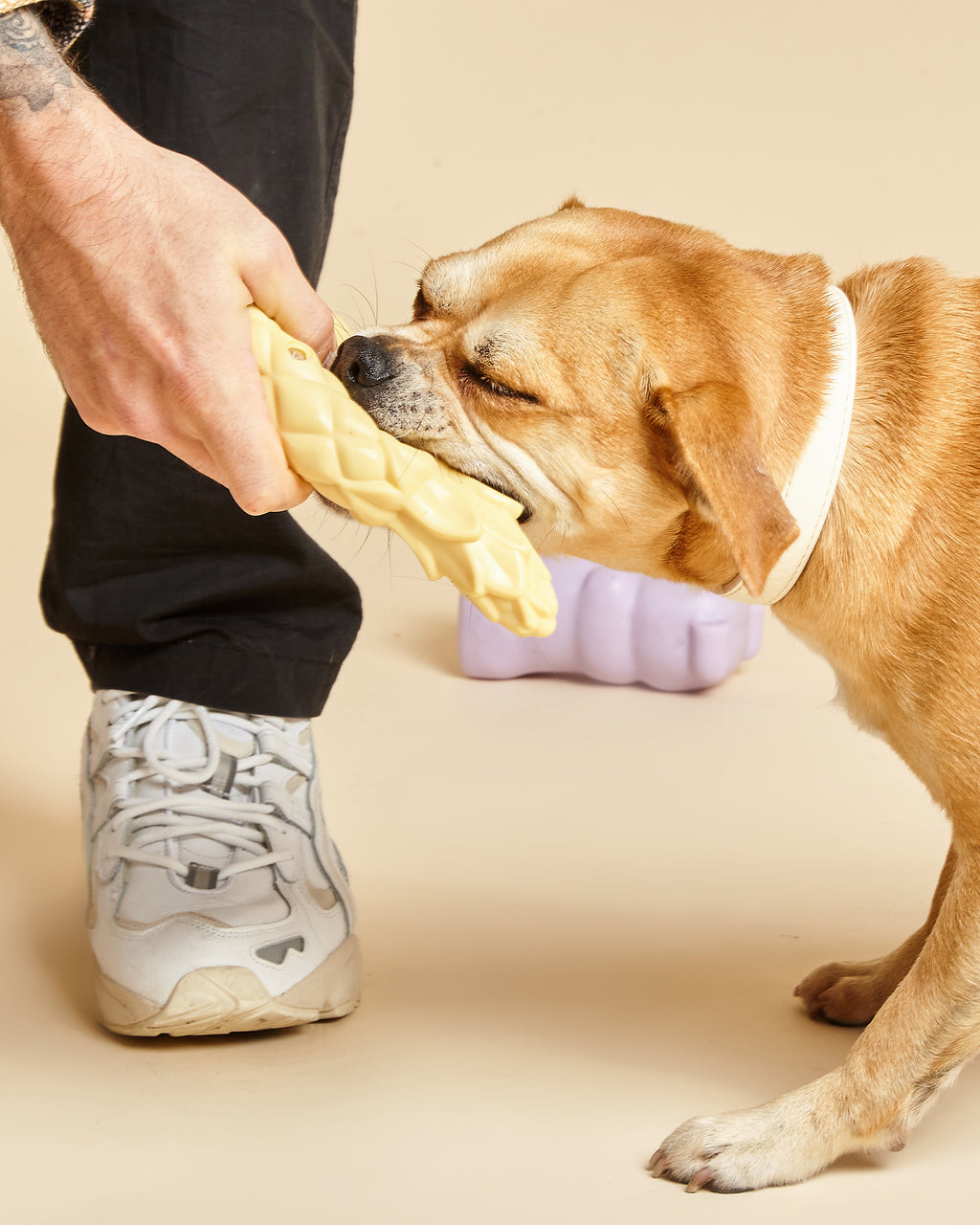 Pineapple Shaped Squeaky Dog Toy