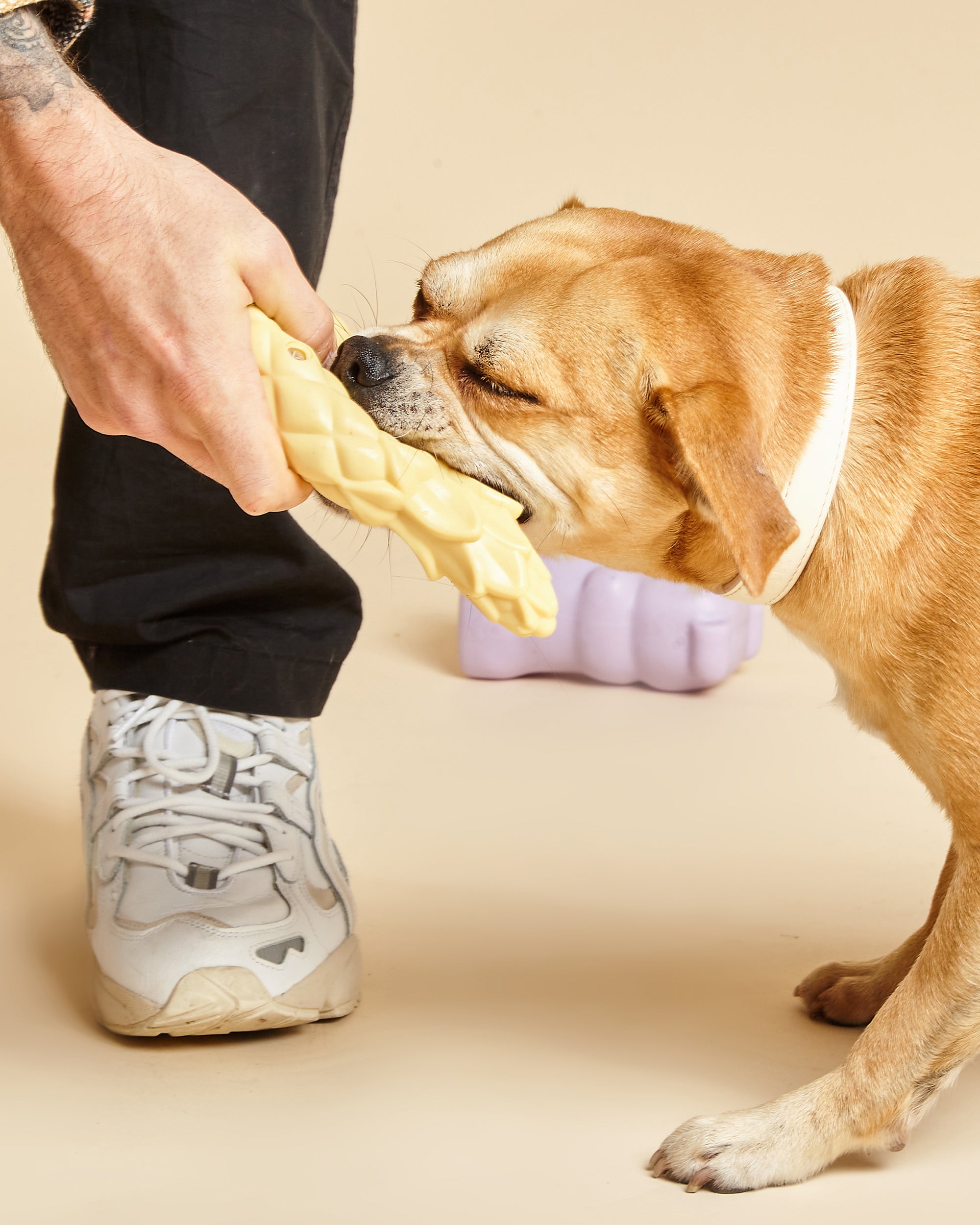 Pineapple Shaped Squeaky Dog Toy