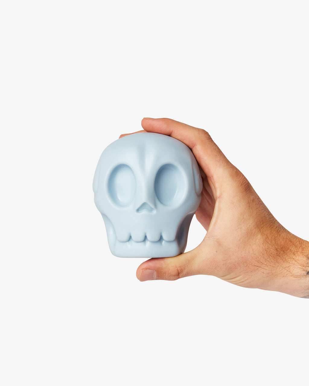 Skully Squeaky Dog Toy