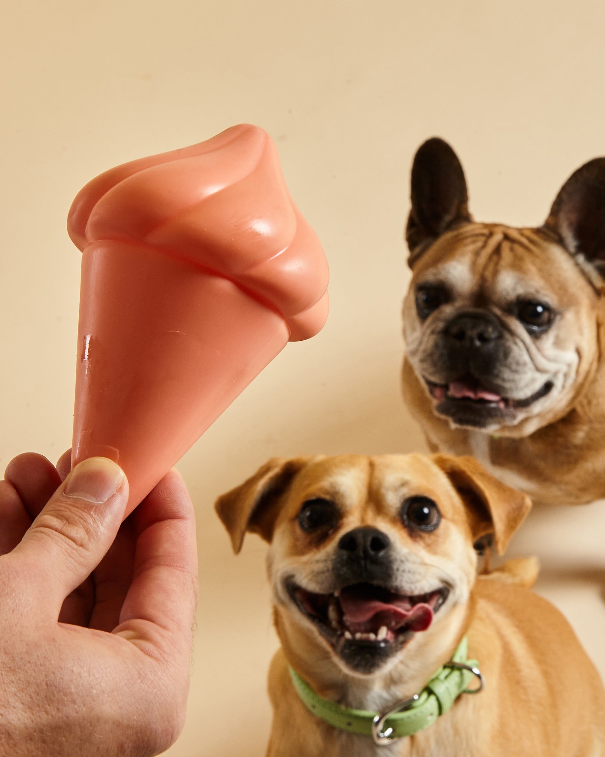 Whippy Squeaky Dog Toy