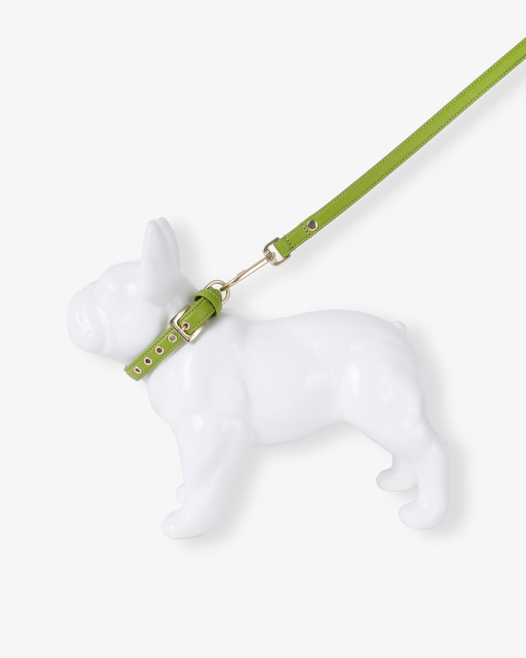 Wasabi Green Dog Collar & Lead Set