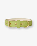 Wasabi Green Dog Collar
