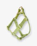 Wasabi Green Dog Harness