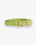 Wasabi Green City Lead