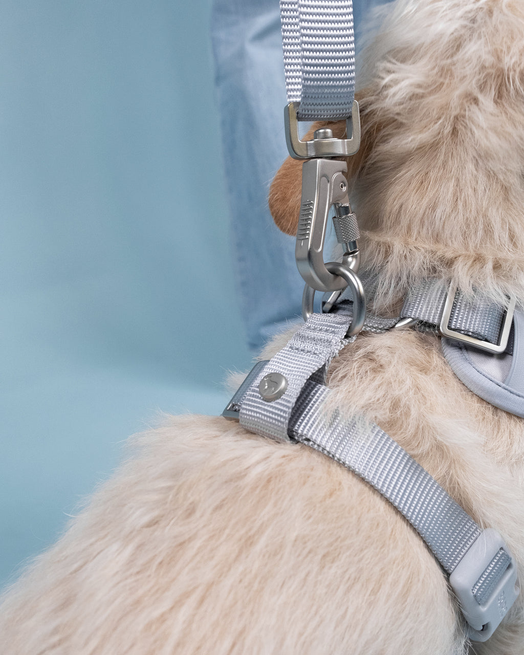 Frosted Blue Easy Fit Harness