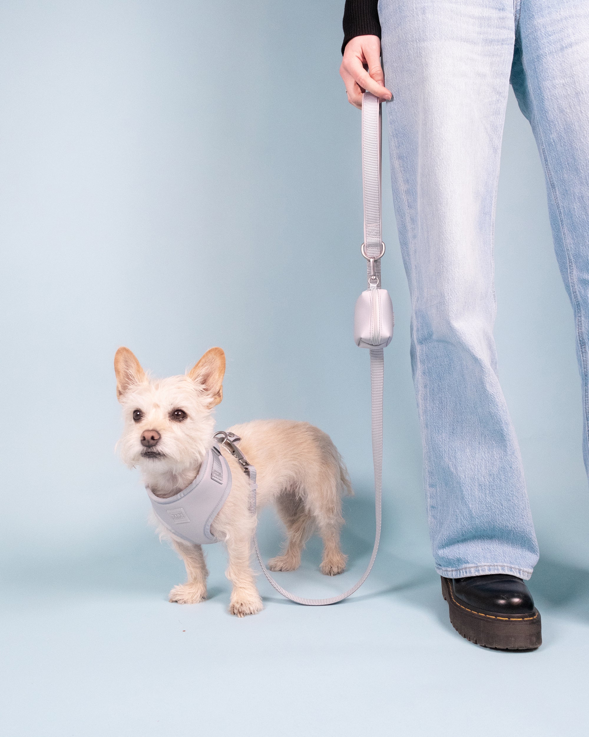 Frosted Blue Essential Waste Bag Holder