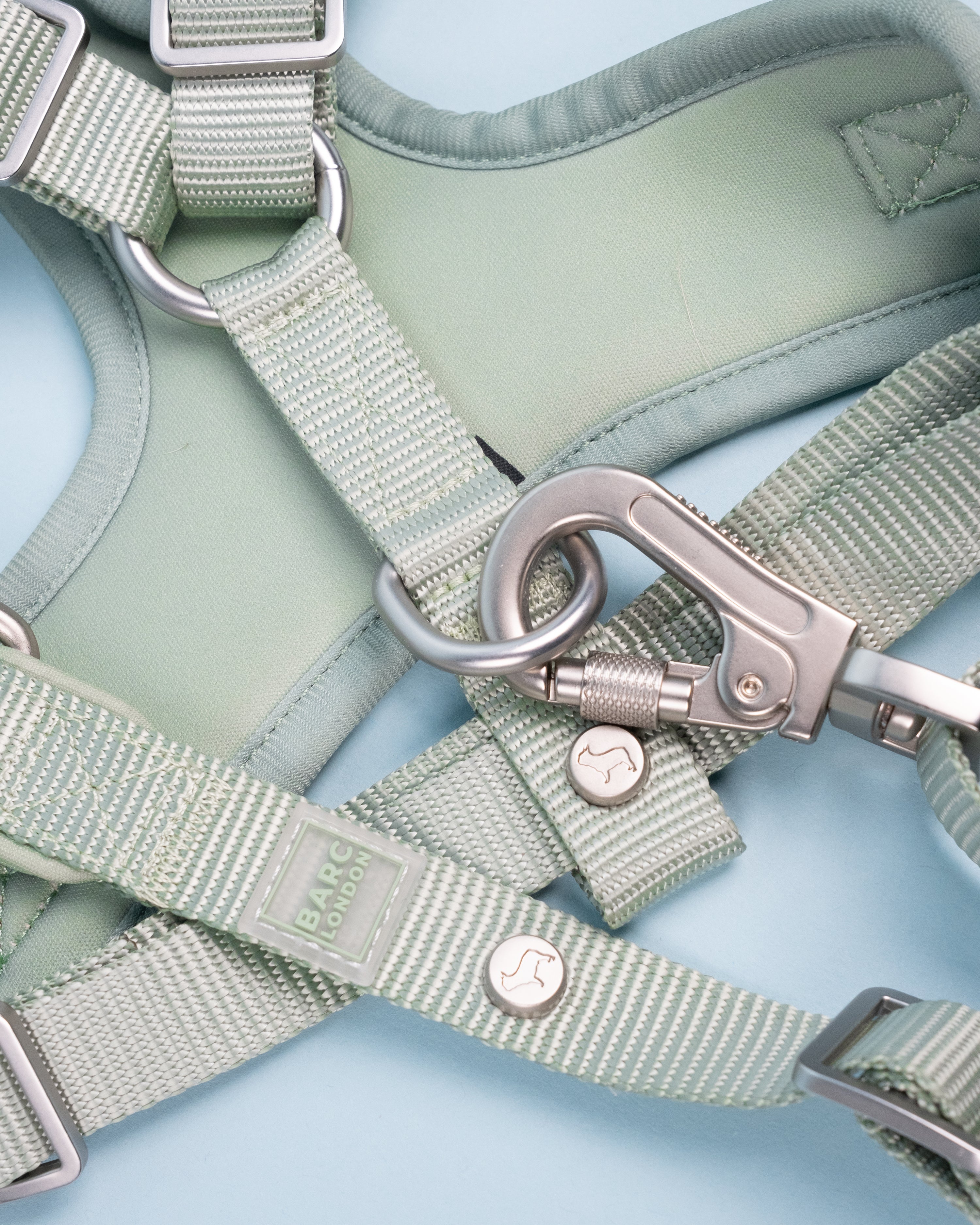 Pistachio Green Essential Adjustable Lead