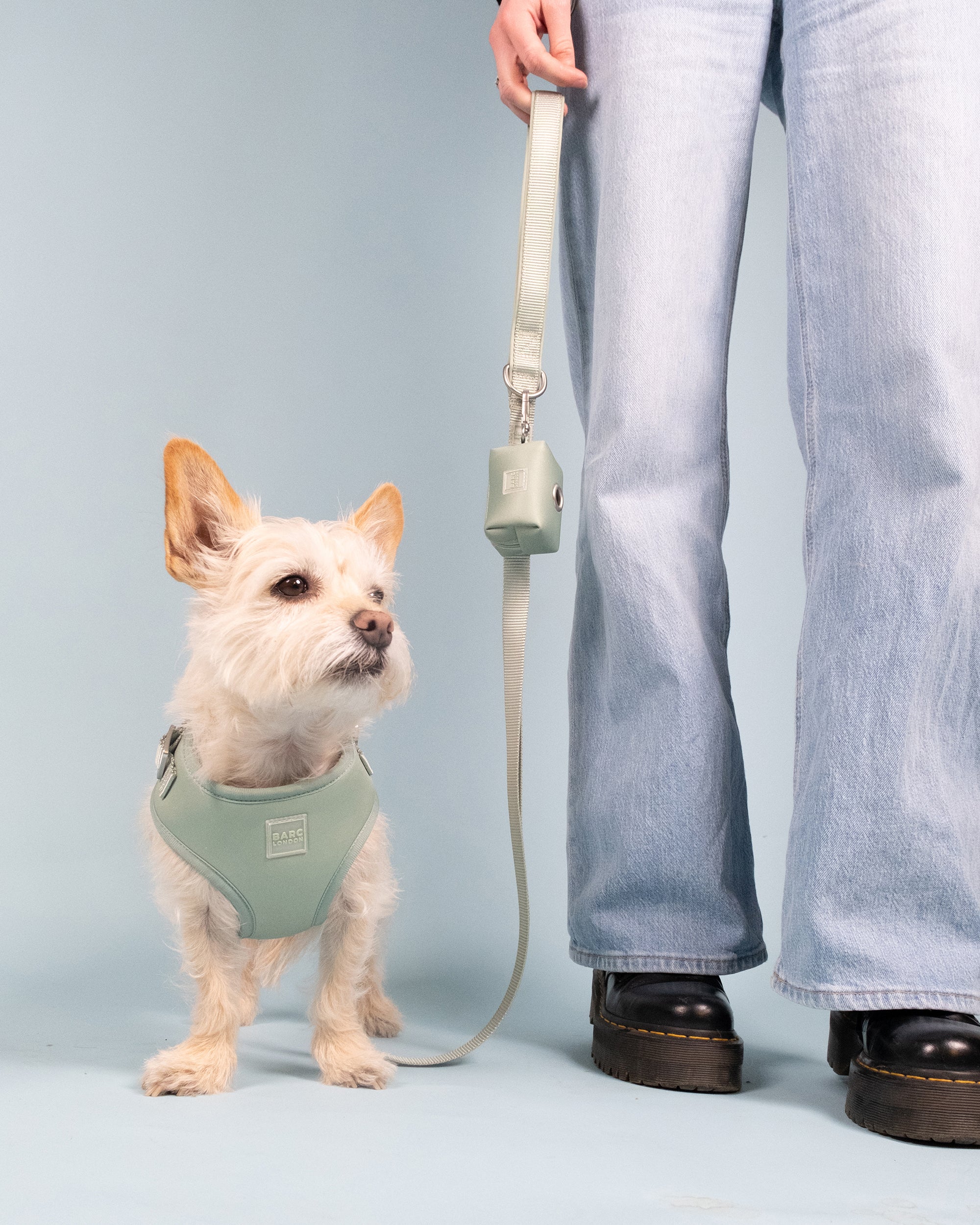 Pistachio Green Essential Adjustable Lead