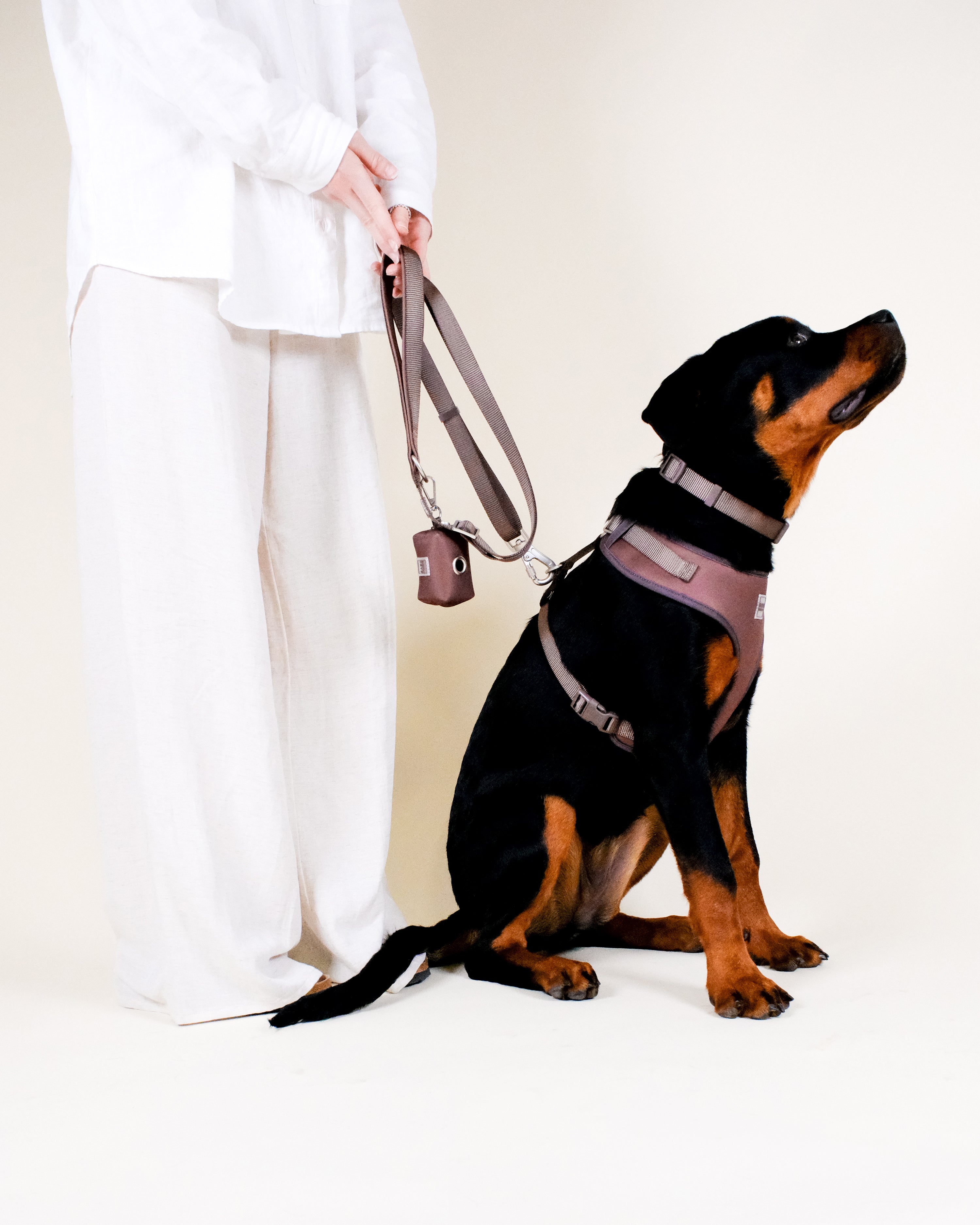 Russet Brown Essential Adjustable Lead