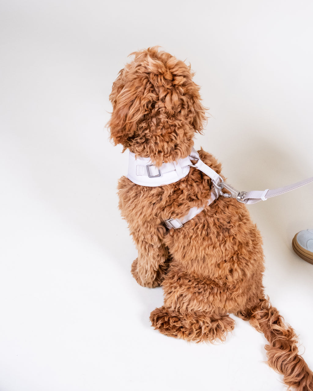 Vanilla Cream Essential Adjustable Lead