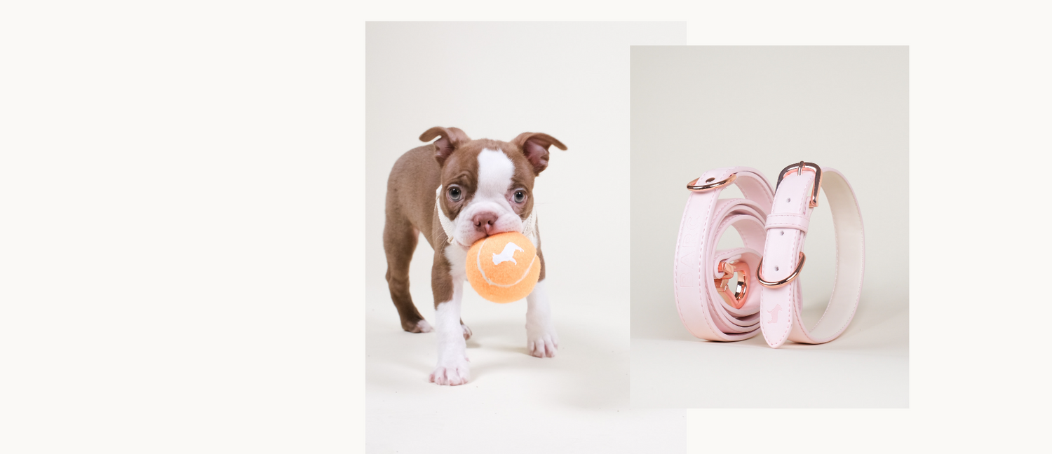 Barc London Luxury Pet Goods & Apparel