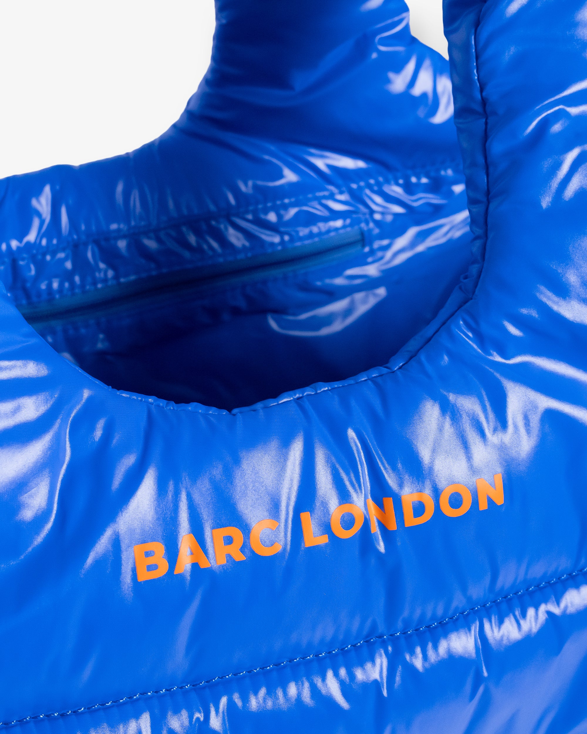COMING SOON – Blue City Dog Carrier