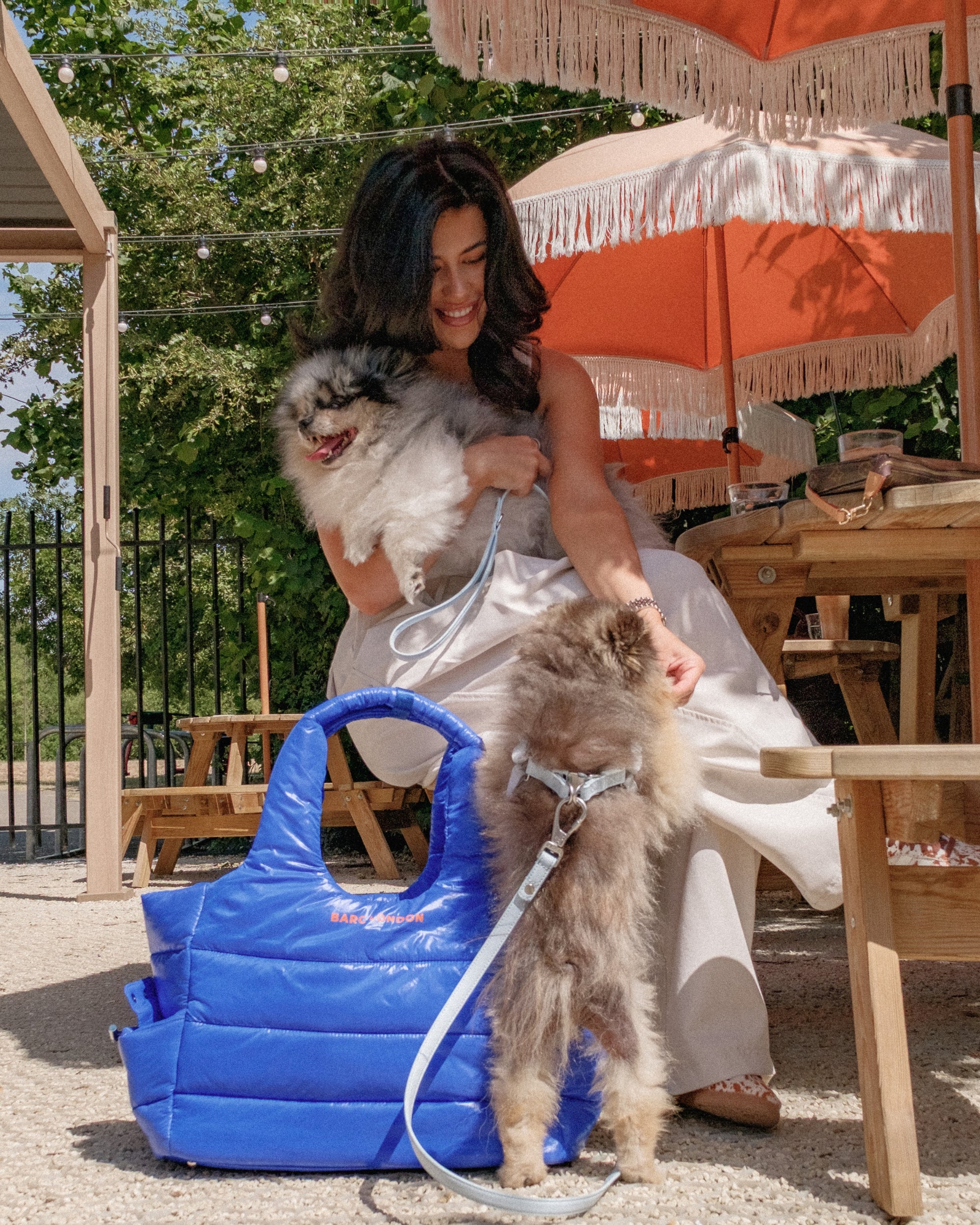 COMING SOON – Blue City Dog Carrier