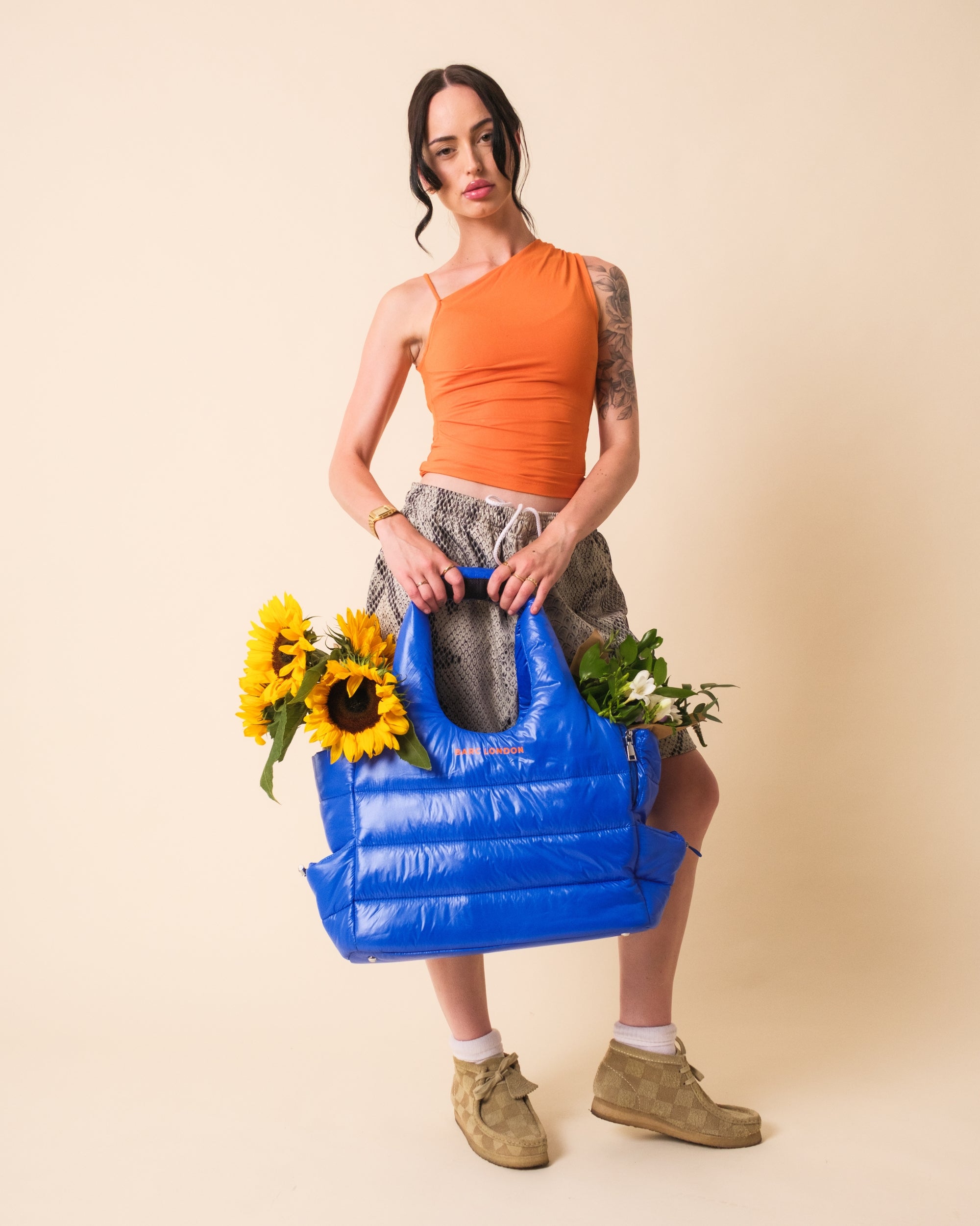 COMING SOON – Blue City Dog Carrier