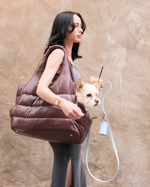 COMING SOON – Brown City Dog Carrier