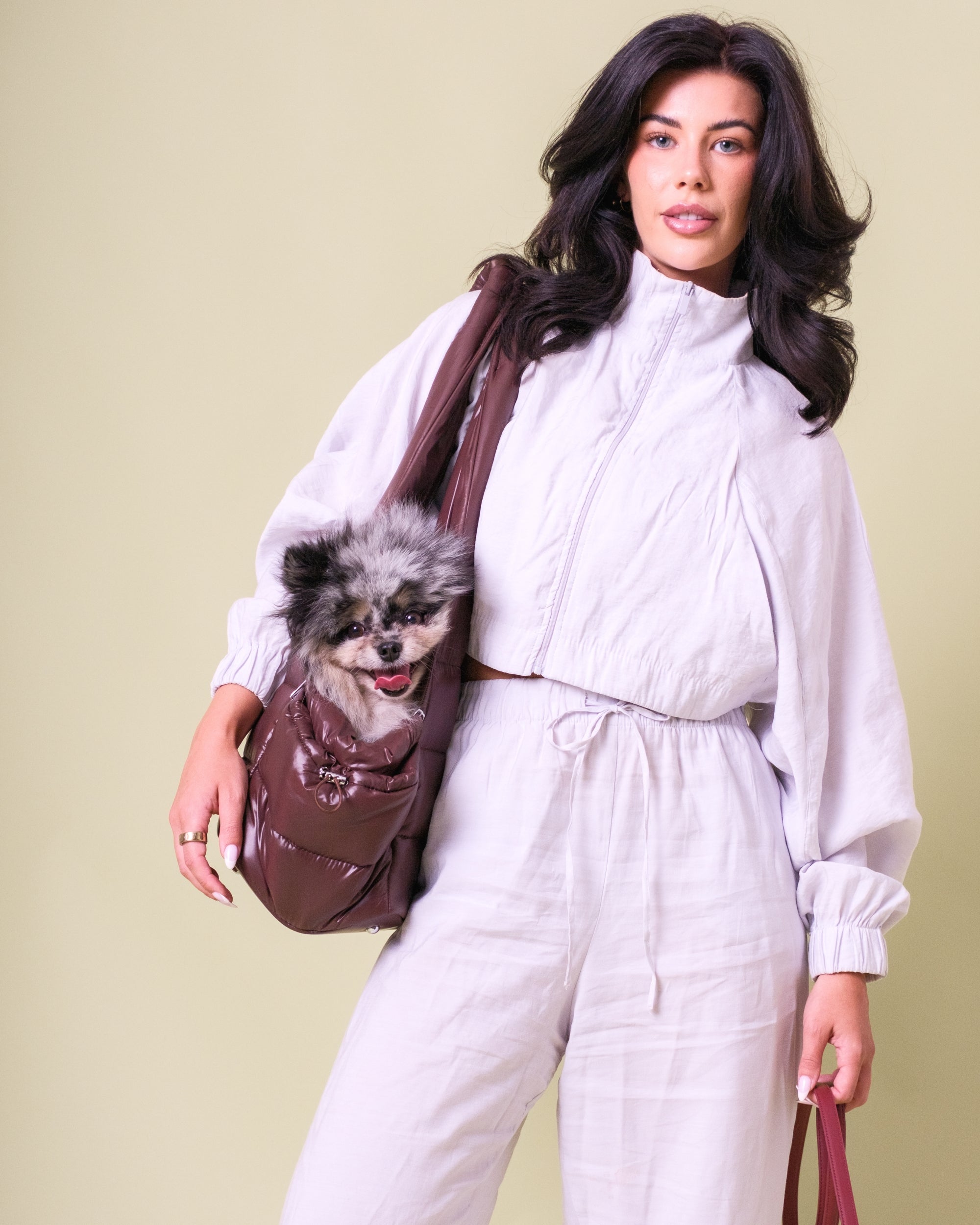 COMING SOON – Brown City Dog Carrier