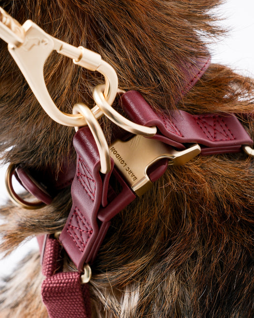 Merlot Red Dog Harness