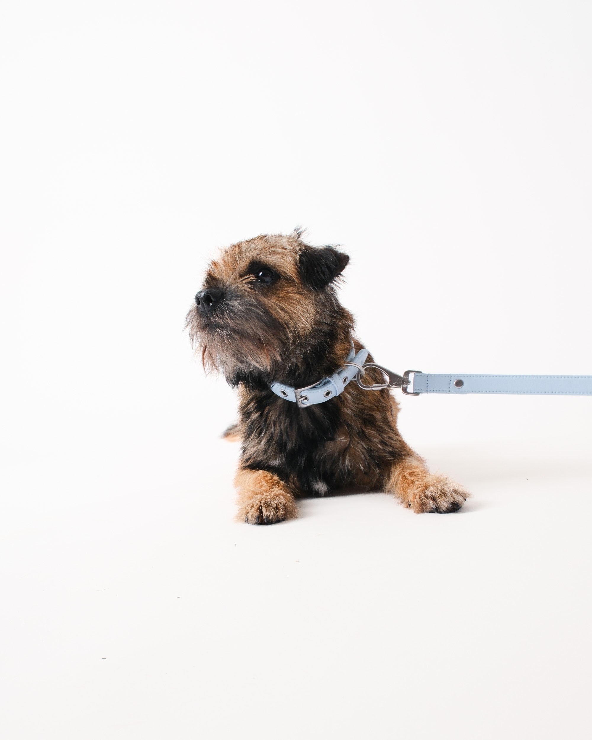 Dusk Blue Dog Collar & Lead Set