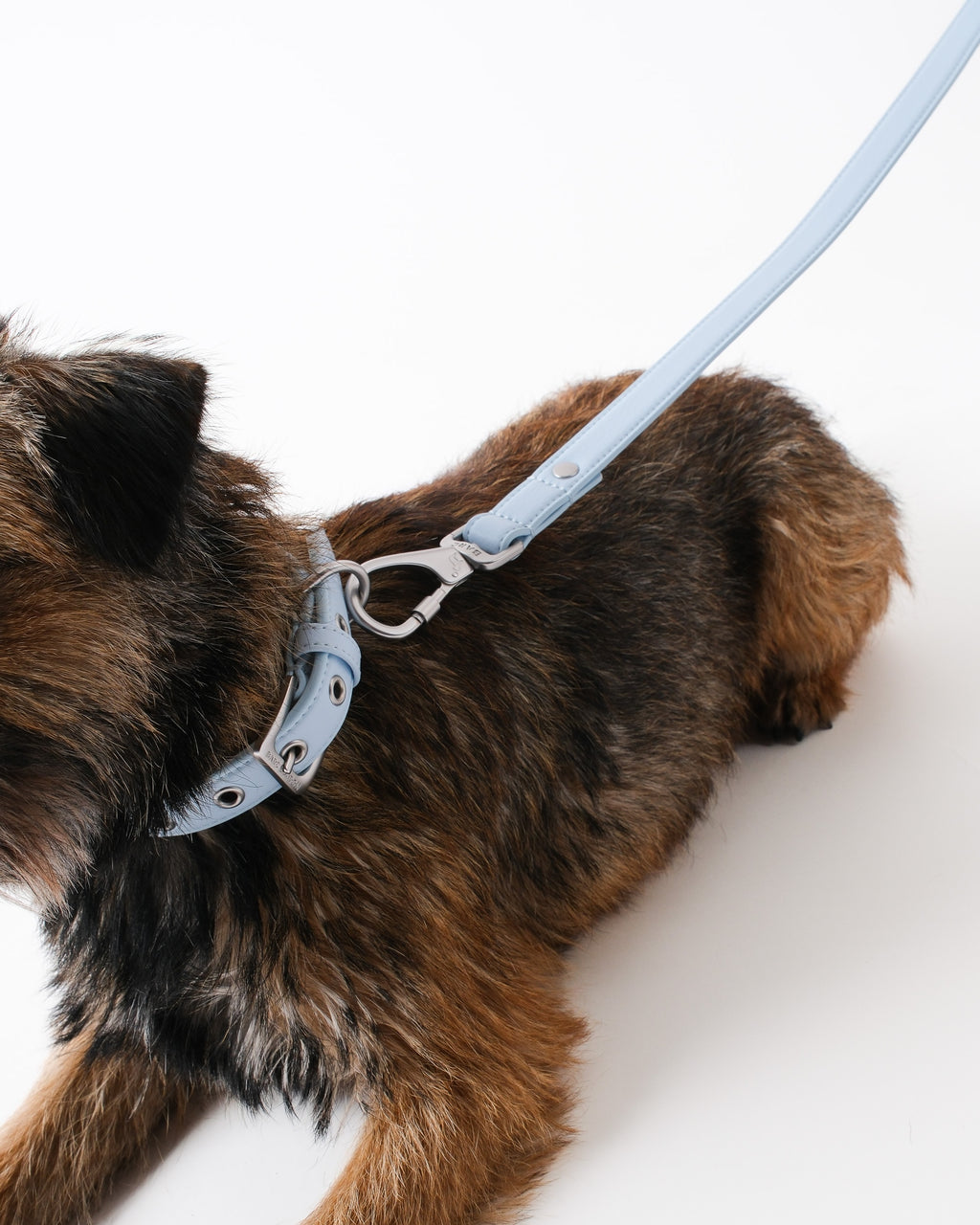 Dusk Blue Dog Collar & Lead Set
