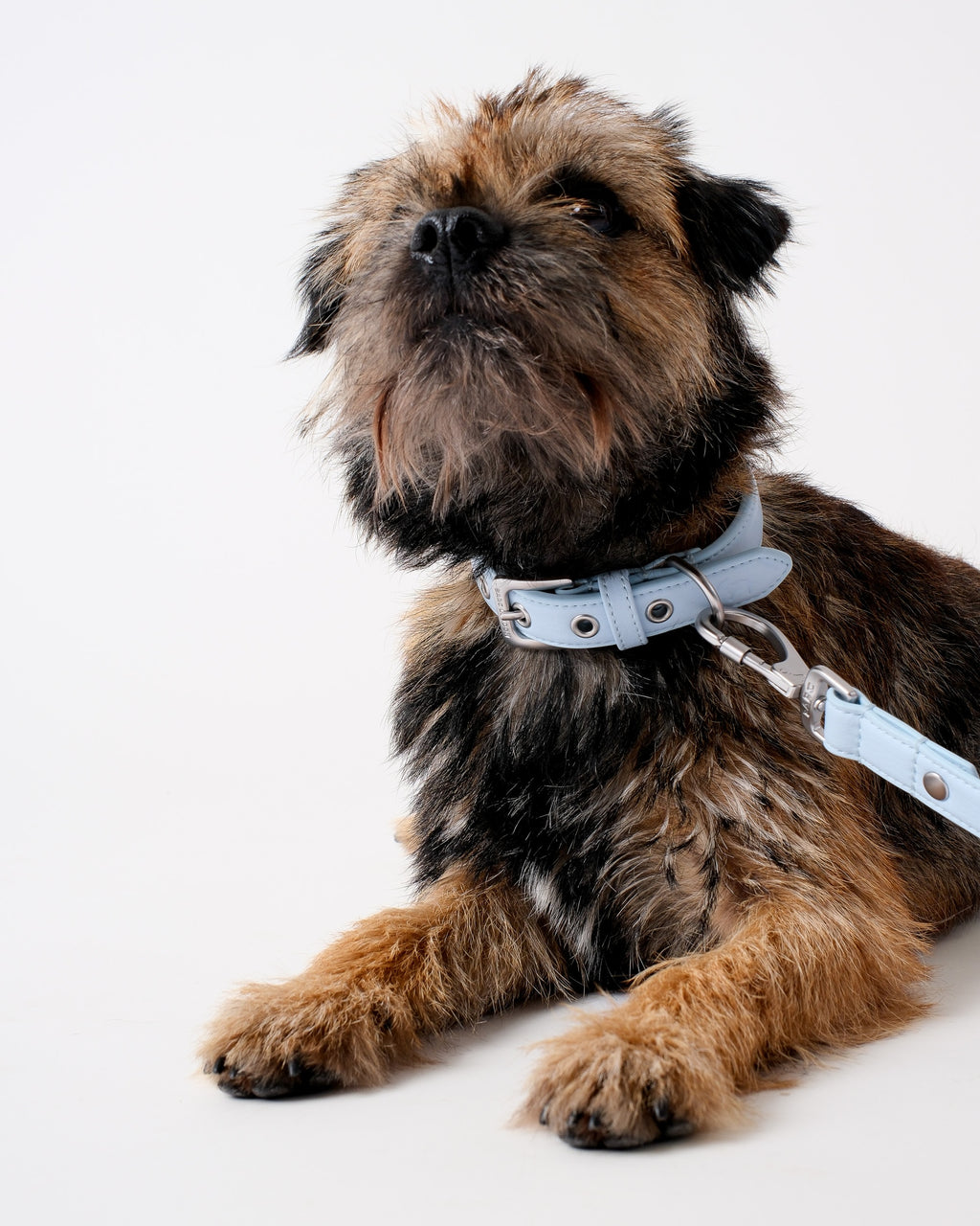 Dusk Blue City Collar