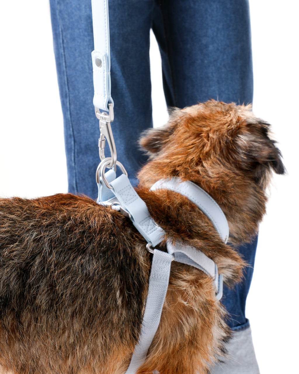 Dusk Blue Dog Harness