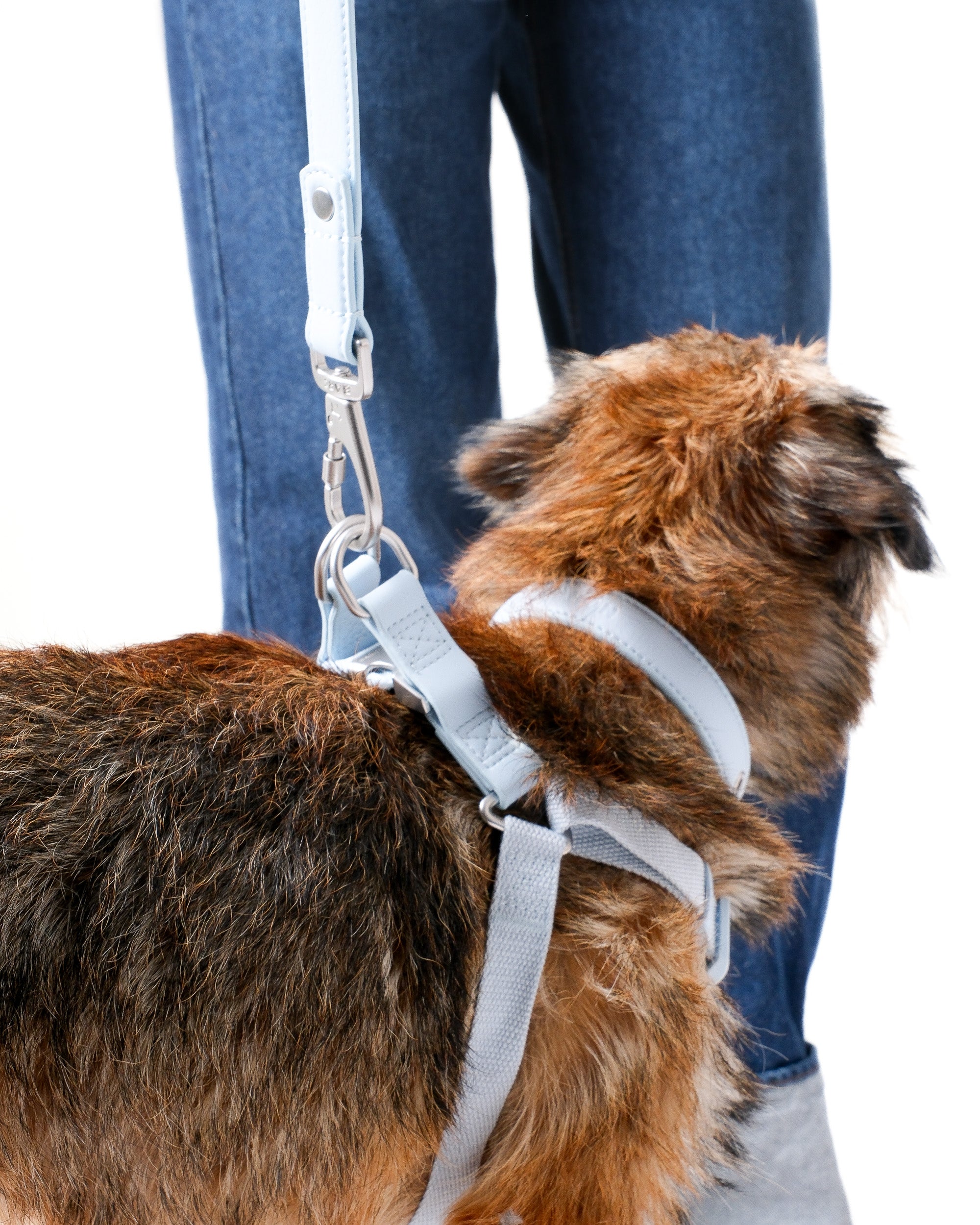 Dusk Blue Dog Harness