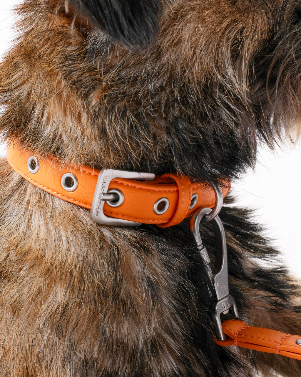 Mandarin Orange Dog Collar & Lead Set