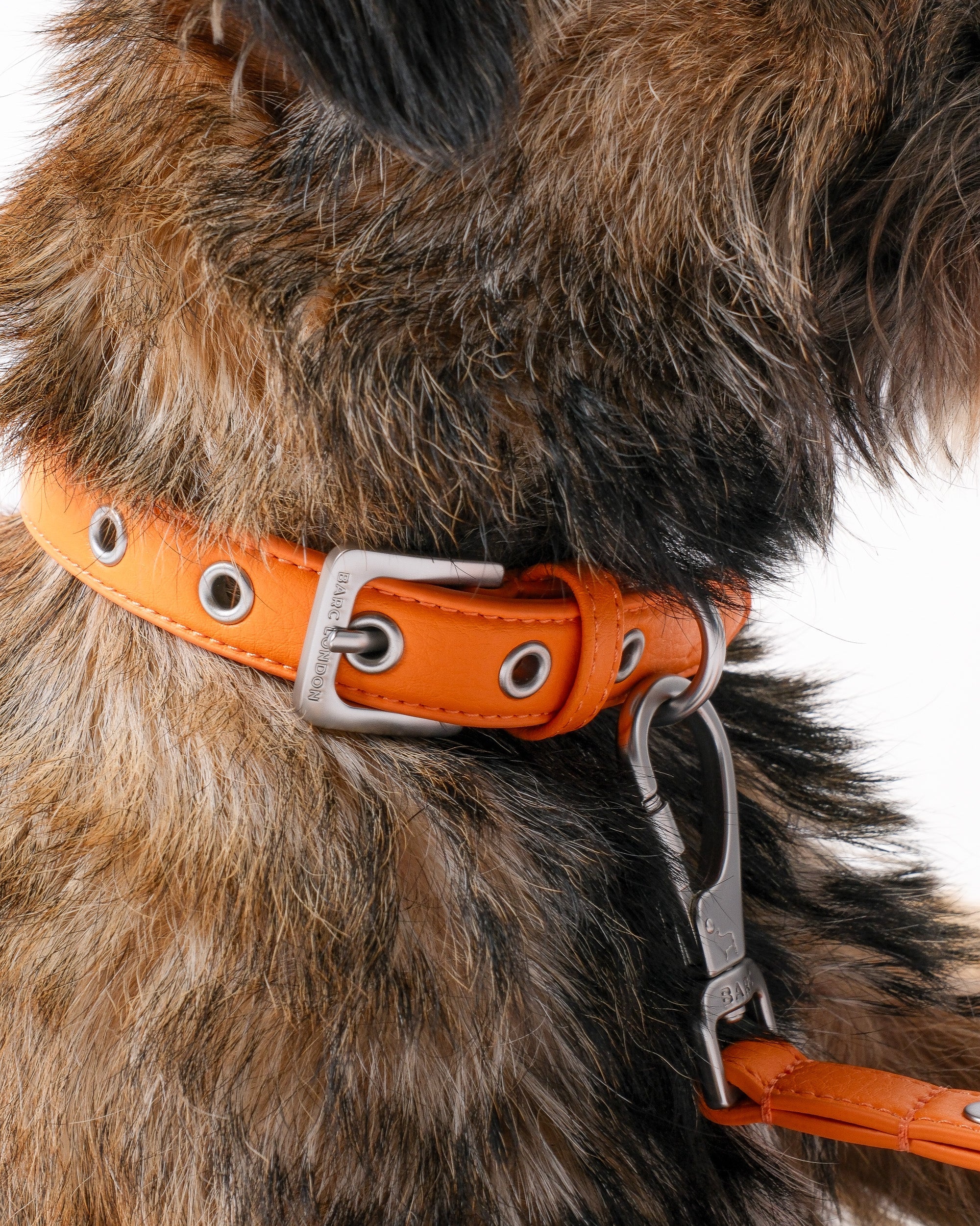 Mandarin Orange Dog Collar