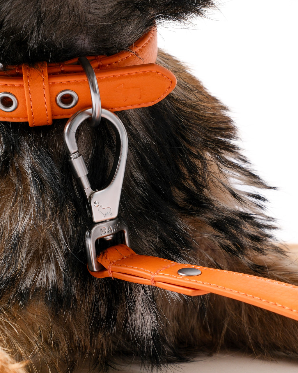 Mandarin Orange Dog Collar & Lead Set