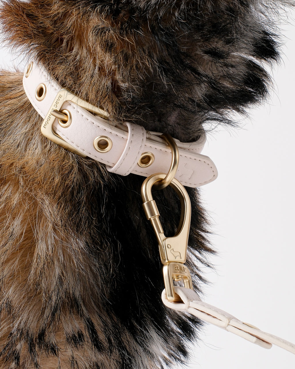 Light Ivory Dog Collar & Lead Set