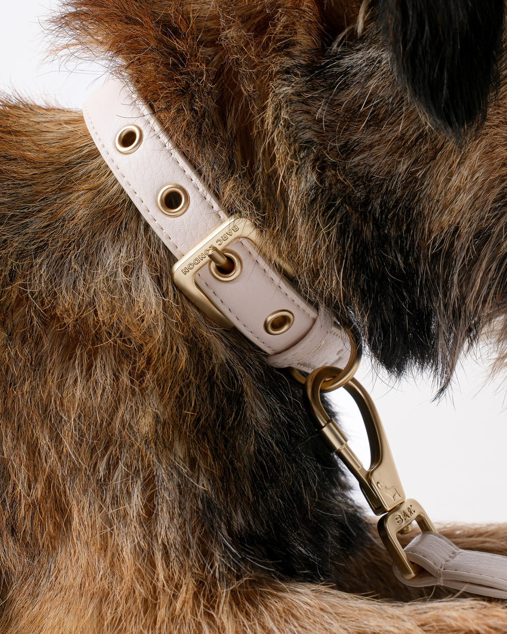 Light Ivory Dog Collar & Lead Set