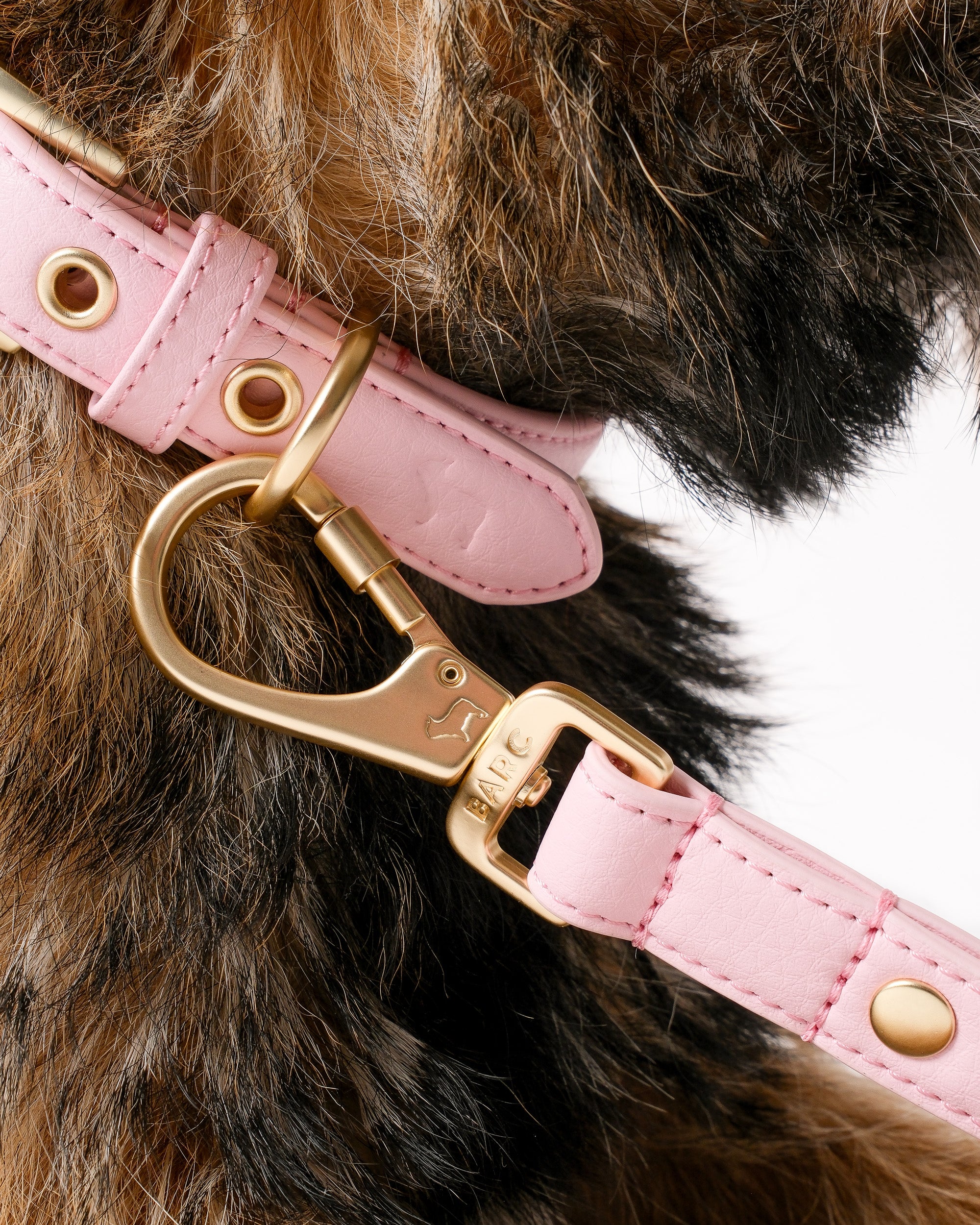Blush Pink Dog Collar & Lead Set