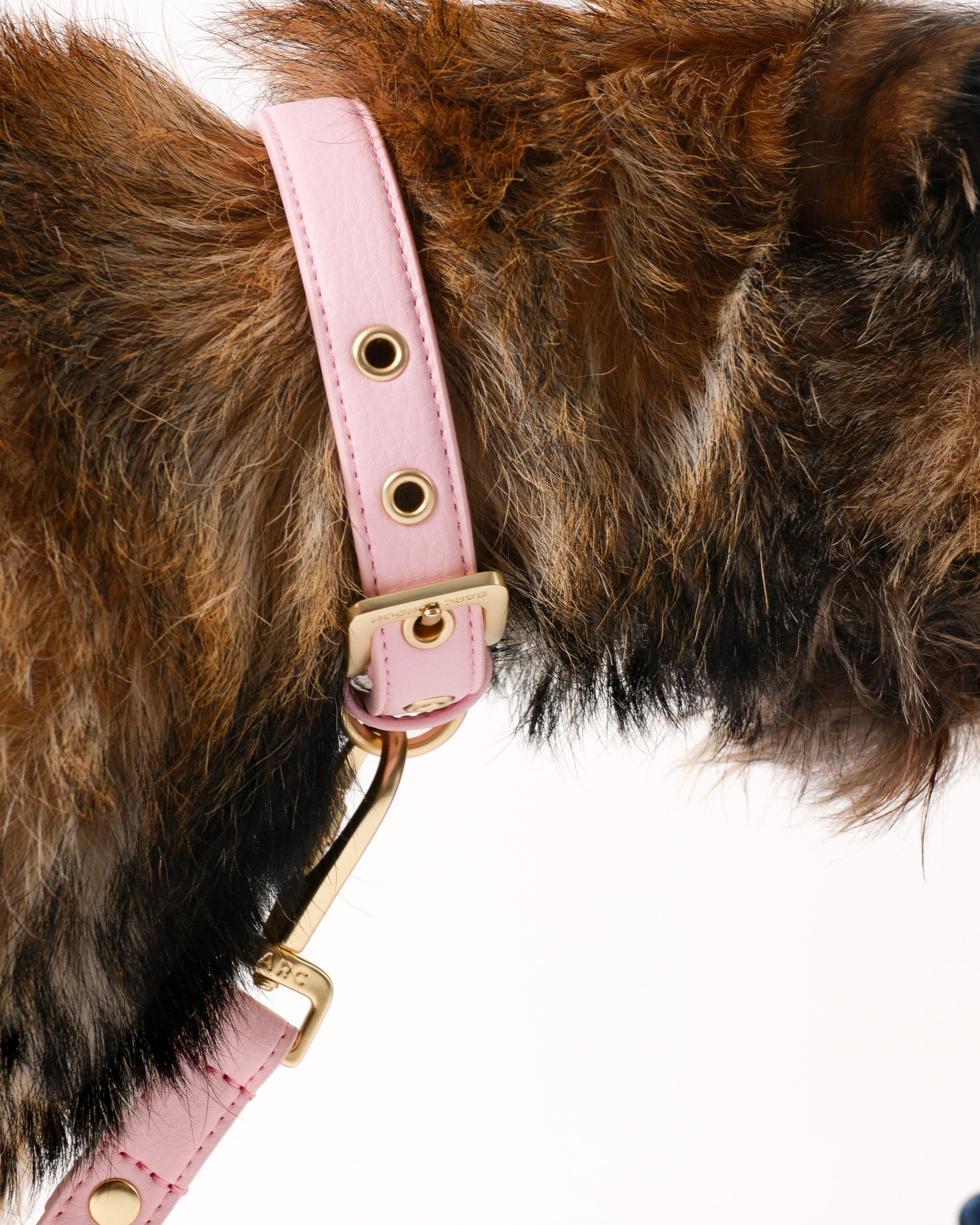 Blush Pink Dog Collar