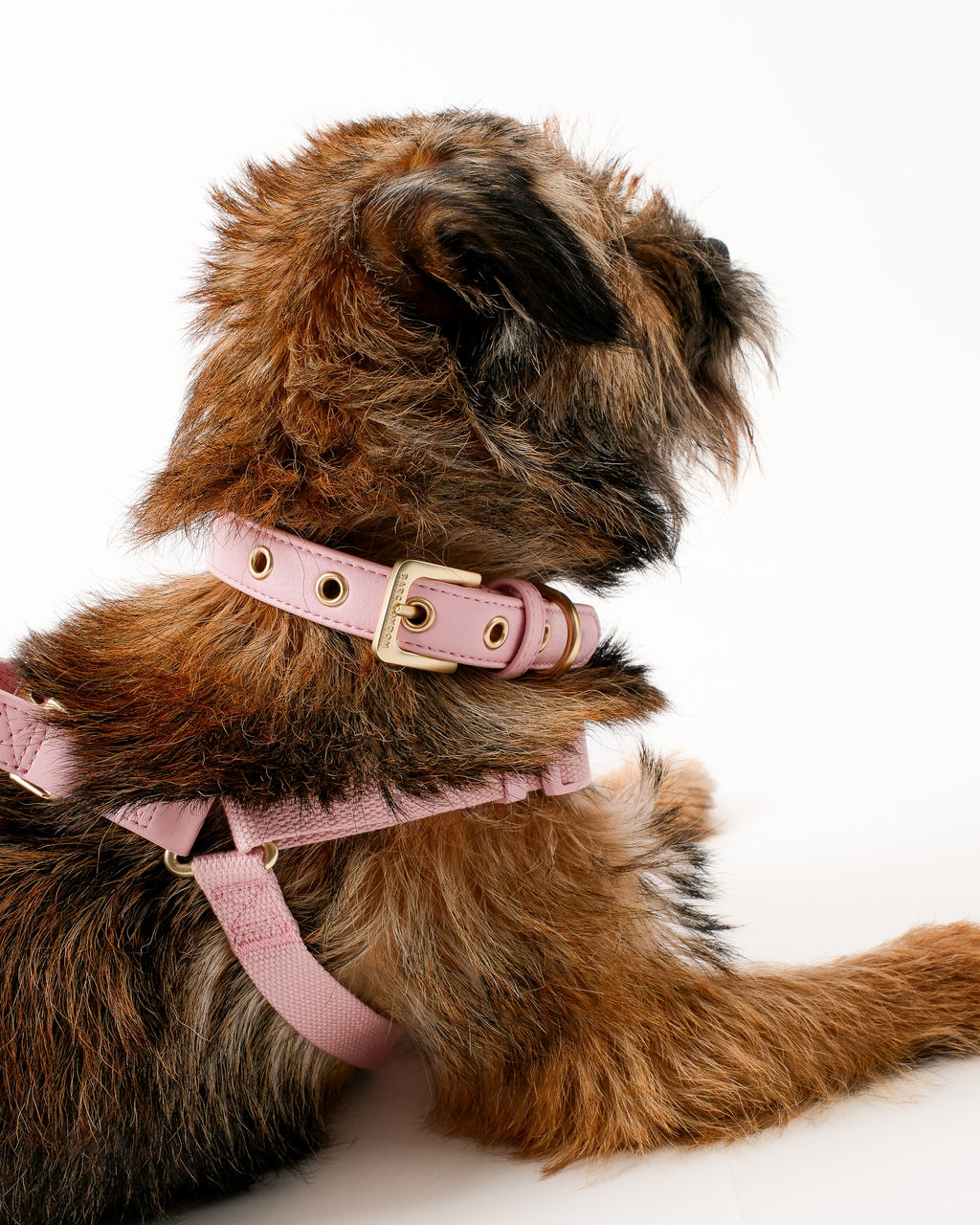 Blush Pink Dog Harness