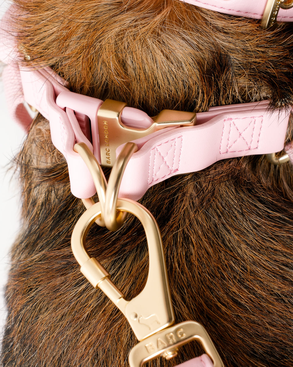 Blush Pink Dog Harness
