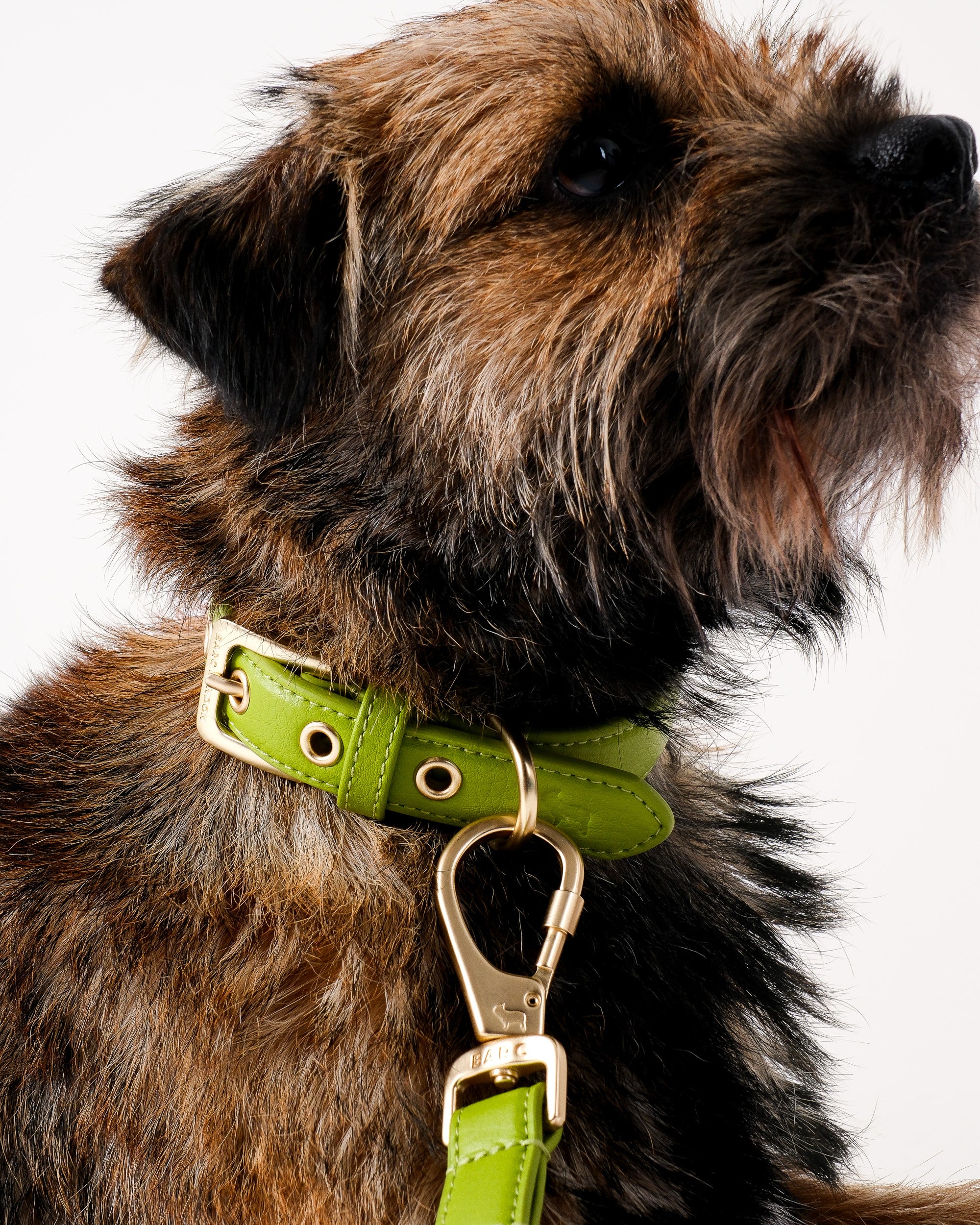 Wasabi Green Dog Collar & Lead Set