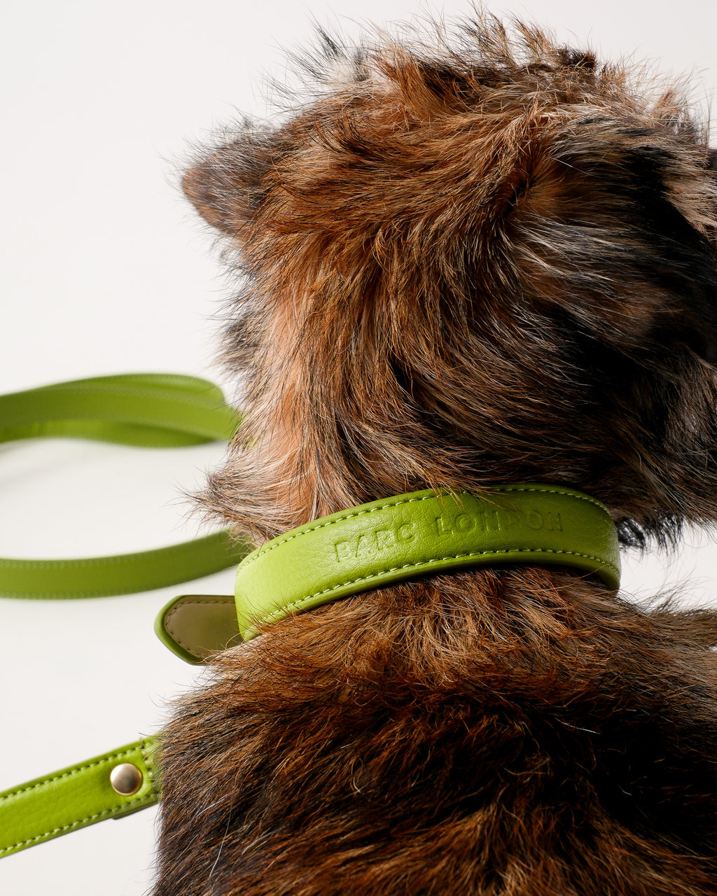 Wasabi Green Dog Collar & Lead Set
