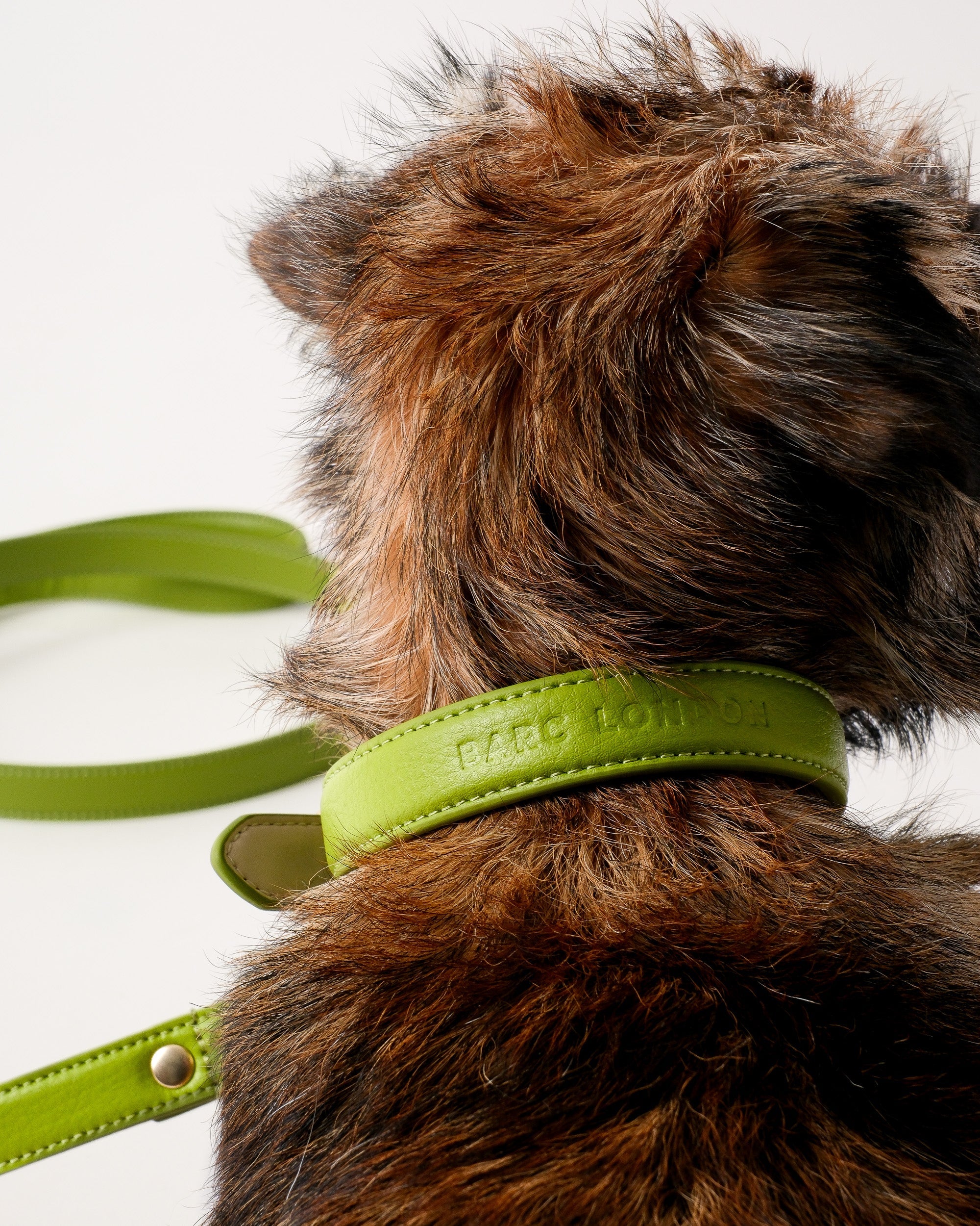 Wasabi Green Dog Collar