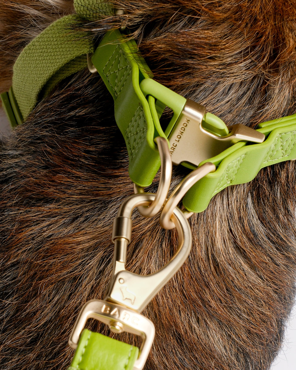 Wasabi Green Dog Harness