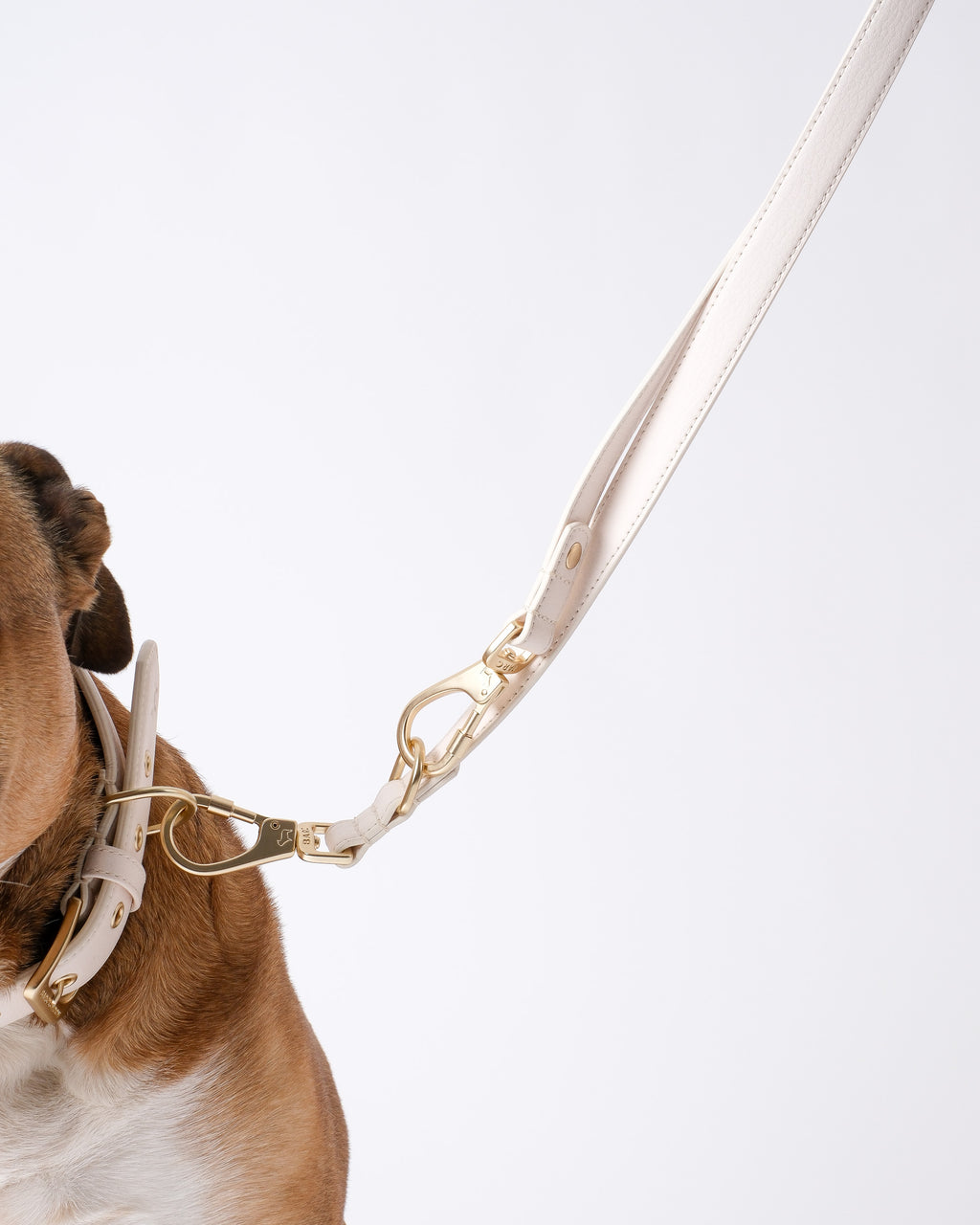 Light Ivory Double Ended Lead