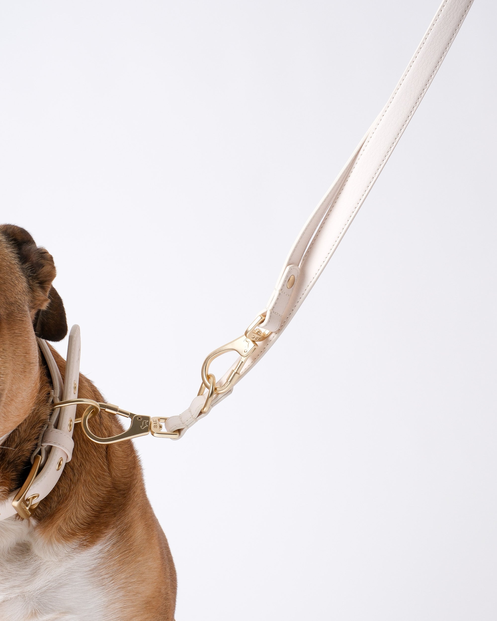 Light Ivory Double Ended Lead