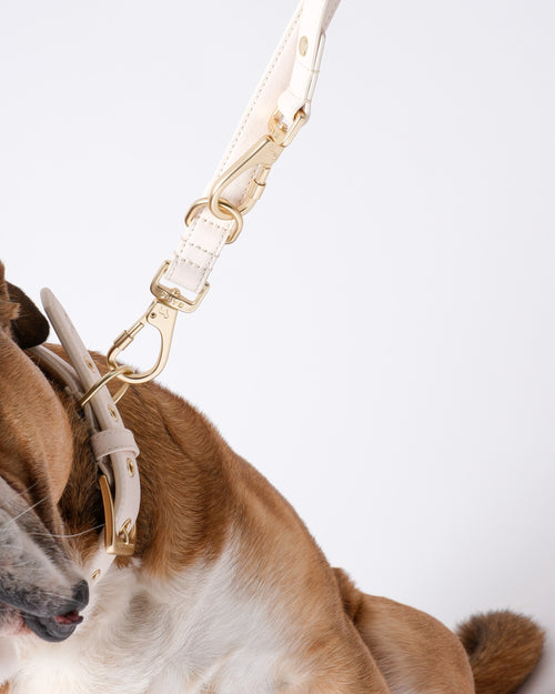 Light Ivory Double Ended Lead