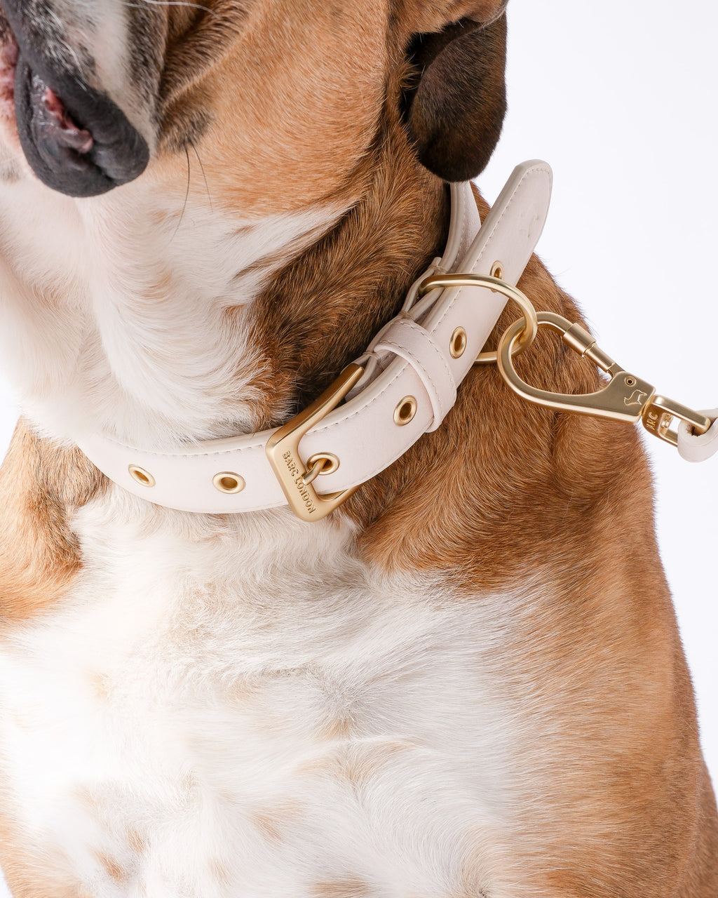 Light Ivory Dog Collar & Lead Set